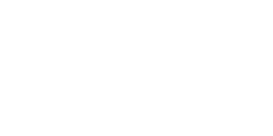 Shopify Logo